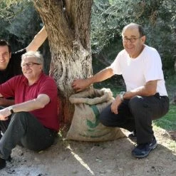 Jordan Olivenöl Kanister Nativ Extra 11 Jordan Olivenöl Kanister Nativ Extra -KitchenAid shop IMG 4412 klein l