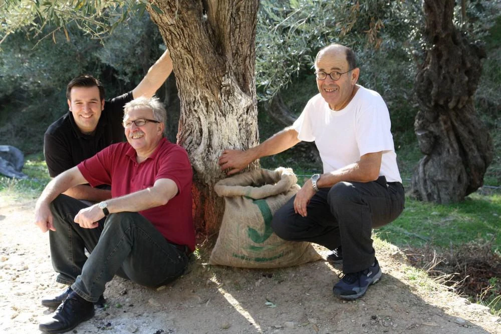 Jordan Olivenöl Kanister Nativ Extra 6 Jordan Olivenöl Kanister Nativ Extra – Bild 4