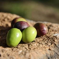 Jordan Olivenöl Nativ Extra -KitchenAid shop oliven closeup2 jordan olivenoel 1